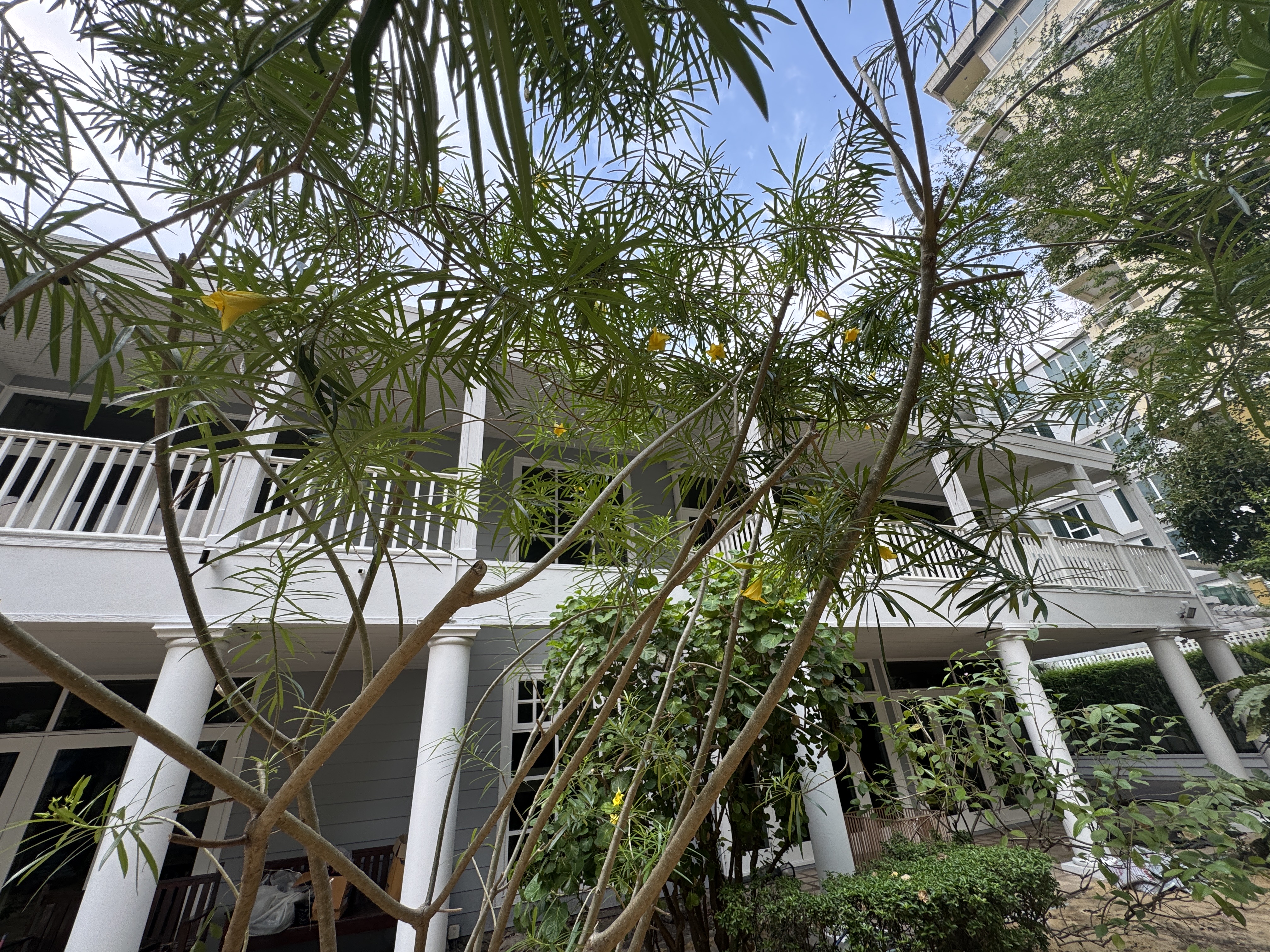 House in Phaholyothin 