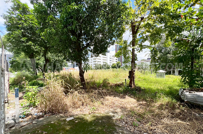 Land For Sale for rent in Sukhumvit